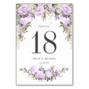 Search for chic table cards Sage green