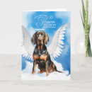 Search for black and tan coonhound Coonhounds