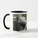 Search for white lab mugs Retriever