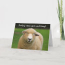 Search for warm fuzzy cards Sheep