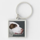 Search for bull terrier key rings Animal body part