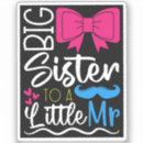 Search for cute big sister stickers Sibling