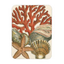 Search for sealife magnets Starfish