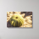 Search for sea urchin art Nature