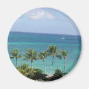 Search for palm tree magnets Bahamas