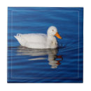 Search for water ripple tiles Ripples