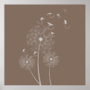 Search for dandelion seed Weeds