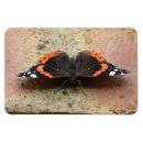 Search for admiration magnets Red