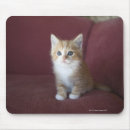 Search for sofa mouse mats Horizontal