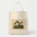 Search for burrowing bags Bird