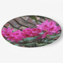 Search for shrub photography Pink flowers