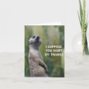 Search for mongoose cards Nature