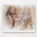 Search for arabian mouse mats Animal