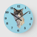 Search for cat clocks Blue