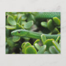 Search for angry horizontal postcards Colourful