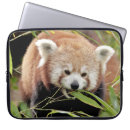 Search for computer panda Modern