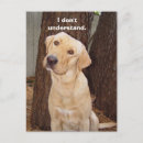 Search for understand postcards Humour