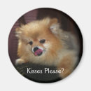 Search for pleased magnets Cute