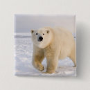 Search for refuges badges Fauna