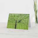 Search for 2009 cards Nature