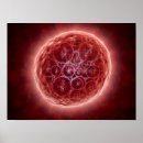 Search for medical illustration posters Science