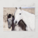 Search for teeshirt postcards Horse