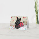 Search for scottish terrier christmas cards Scottie
