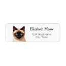 Search for siamese cats return address labels Cute