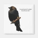 Search for pest magnets Bird