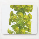 Search for cutouts mouse mats Natural world
