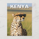 Search for kenya postcards Souvenir