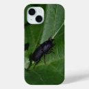 Search for beetle iphone cases Insects