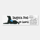 Search for assistant bumper stickers Car
