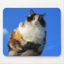 Search for windy mouse mats Sky