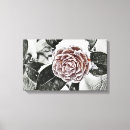 Search for rose drawing canvas prints Frozen