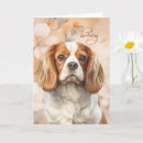 Search for cavalier king charles spaniel birthday cards Dogs