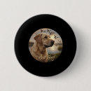 Search for duck hunting badges Forest