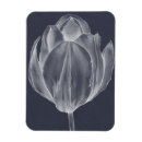 Search for tulips rectangular magnets Silhouettes