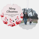 Search for pink flamingo christmas cards Animal