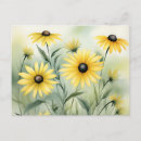 Search for black eyed susans postcards Wildflower