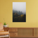 Search for autumn mist art Forest