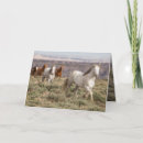 Search for leads cards Horse