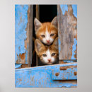 Search for blue window posters Wooden