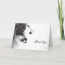 Search for cat face cards Pet