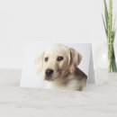 Search for closeup cards Pet