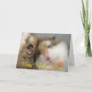 Search for furry valentines day cards Pets