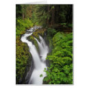 Search for duc Waterfall