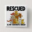 Search for breed square badges Cats