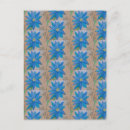 Search for flower petals postcards Summer