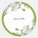 Search for white background stickers Chic